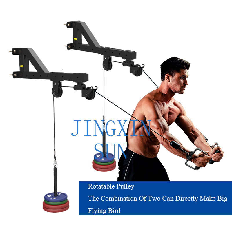 Einstellbare Single Pull Down  – Home Gym Diy Pulley System Bewertung und Preis