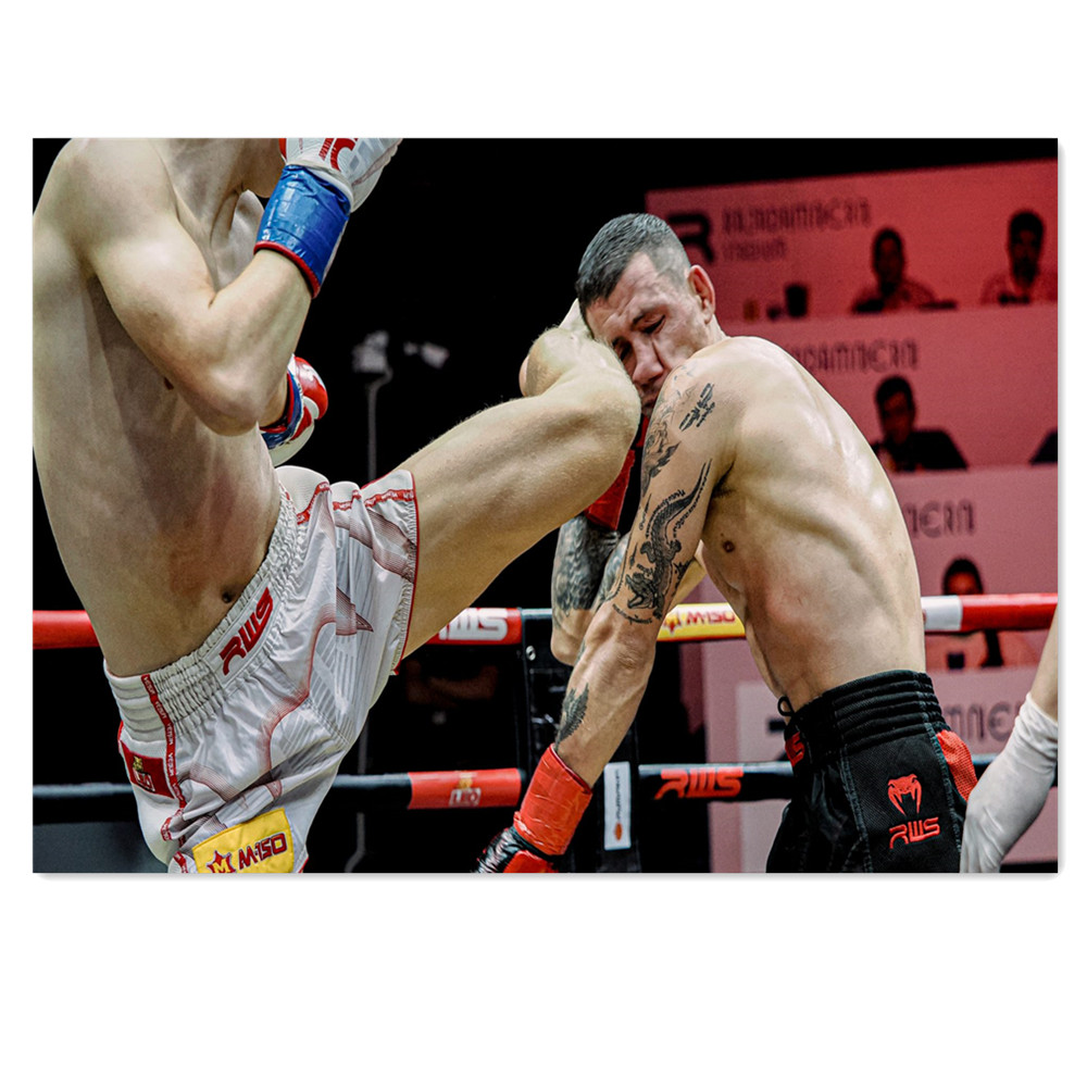 Muay Thai Stadion Leinwandbild – Home Gym Wallpaper Bewertung und Preis
